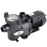 flopro_pool_pump_2036446308
